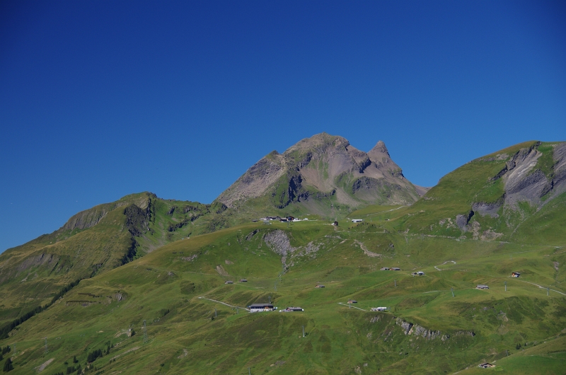 24h Hike Mammut_Ochsner 'Grosse Scheidegg _ Schwarzhorn 2927m' 18_08_2012 (6).JPG